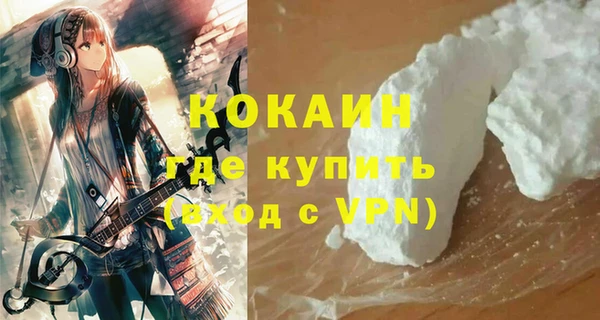 стафф Арсеньев