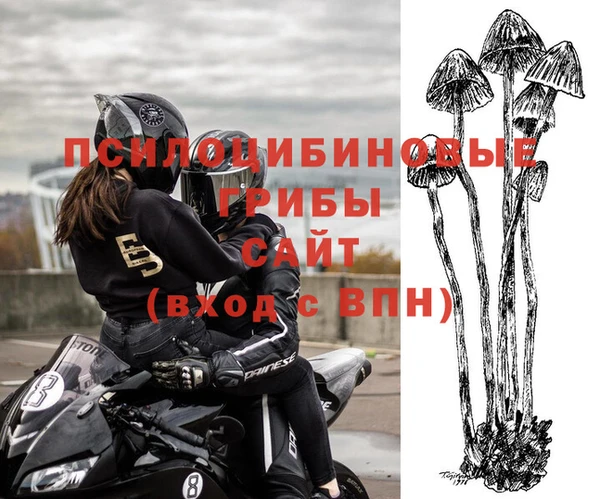 прущий лед Аркадак