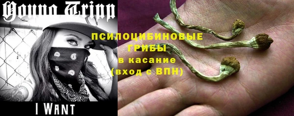 крисы Сафоново