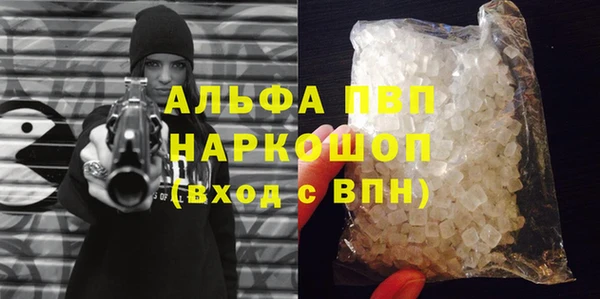 стафф Арсеньев